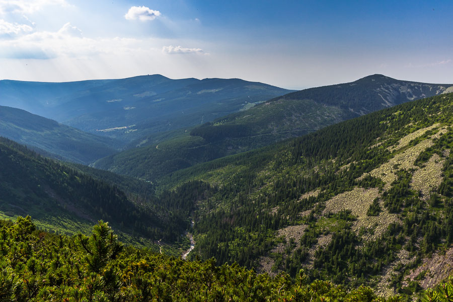 Dolina Białej Łaby, nad nią góruje Śląski Grzebień (widok z Krakonosza)